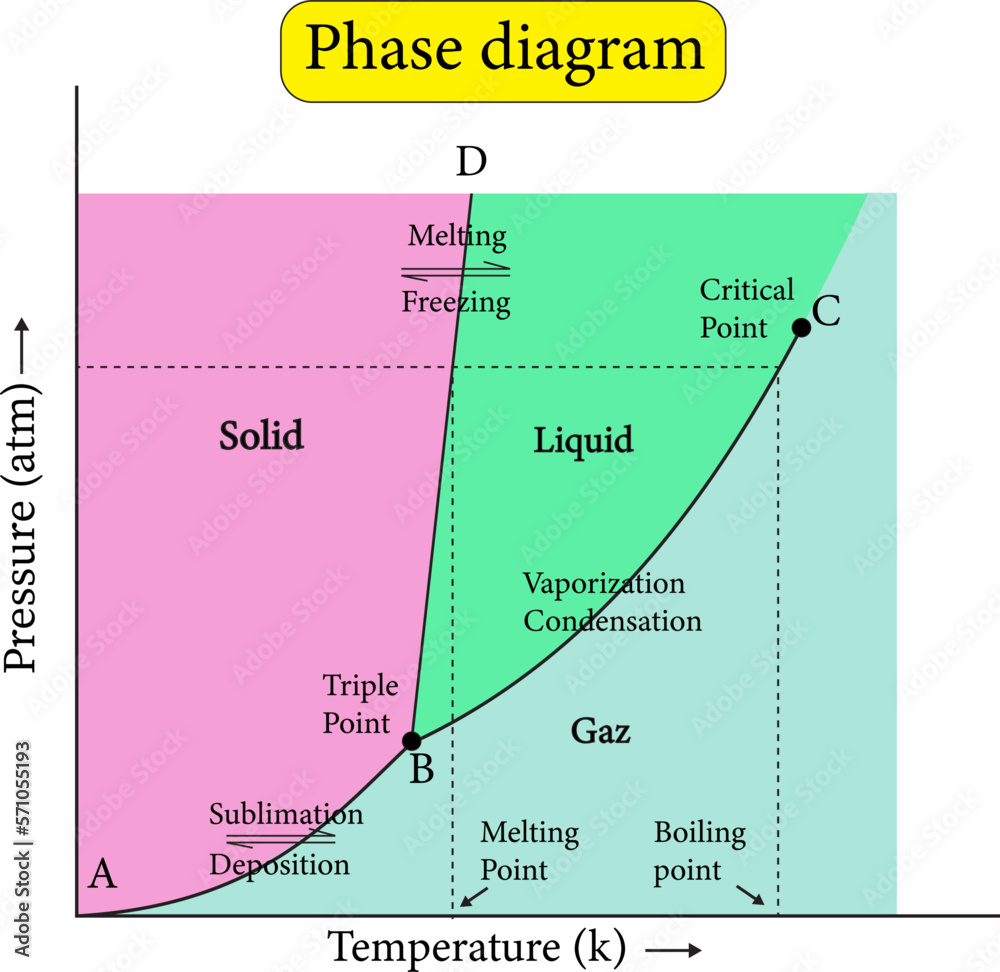phase diagram